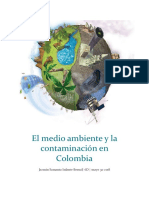 El medio ambiente y la contaminación en Colombia-tarea de religion.pdf
