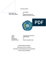 Lapres Fitokimia - Percobaan 2 - Nor Izzatil Hasanah (A18)