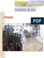 Benficiamento_do_leite.pdf