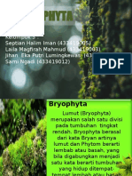 KMH Bryophyta