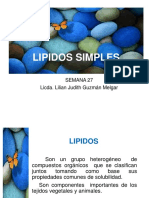 27-lipidos-simples.pdf