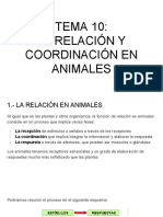 Tema 10 - La Relación y Coordinación en Animales PDF