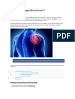 Riesgos Biomecanicos