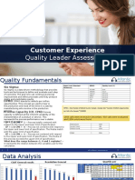 Customer Experience: Quality Leader Assessment