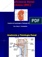 Catedra de Semiología y Patologia Médica I. Dra. Mary C. Fernández