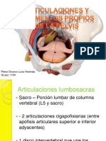 88387748-Articulaciones-y-Ligamentos-Propios-de-La-Pelvis.pdf