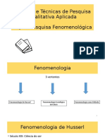 Pesquisa Fenomenologica e Hermeneutica