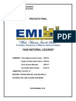 GAS NATURAL LICUADO.pdf