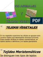 biologia clasificacion tejidos animales y vegetales.pdf