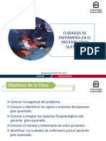 Clase Gran Quemado.pdf