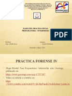 Mapa Mental Fases Preparatoria e Intermedia.