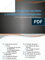 Análisis de Las Fases y Variables