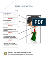 Deria Manusia - Mata, Telinga, Hidung, Lidah, Kulit