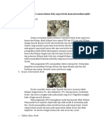 Deskripsi Petrografi 3 Macam Batuan Beku Yang Berbeda