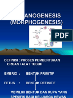 09 Organogenesis