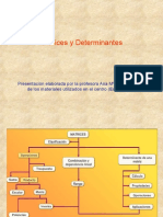 Matrices y Determinantes