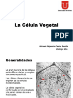 La Célula Vegetal PDF