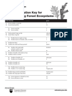 Tree_Identification_Key.pdf