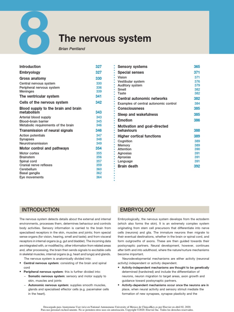 3 s2.0 B9780702073373000080 PDF | PDF | Cerebral Cortex | Central ...