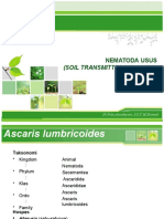 Ascaris, Trichuris, Toxocara