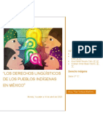 ADA 5-Los Derechos Lingüísticos de Los Pueblos Indígenas en México
