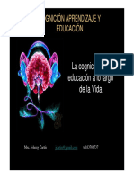 Ciencias de La Cognicion y Educacion PDF