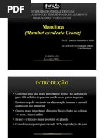Melhoramento Da Mandioca - Manihot esculenta Crantz