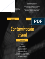 Contaminacion Visual