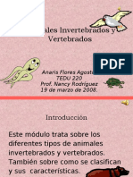 Animales Invertebrados y Vertebrados1032