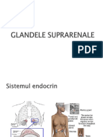 Glandele Suprarenale Studenți PDF