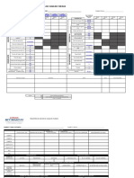 formato diario CF.xlsx