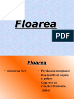 0 Floarea