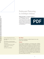 Annurev - Cellbio.22.011105embryonic Patterning