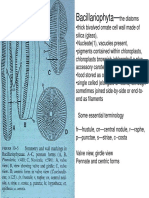 Diatom Book-1 PDF