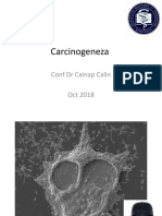 Carcinogeneza 2019