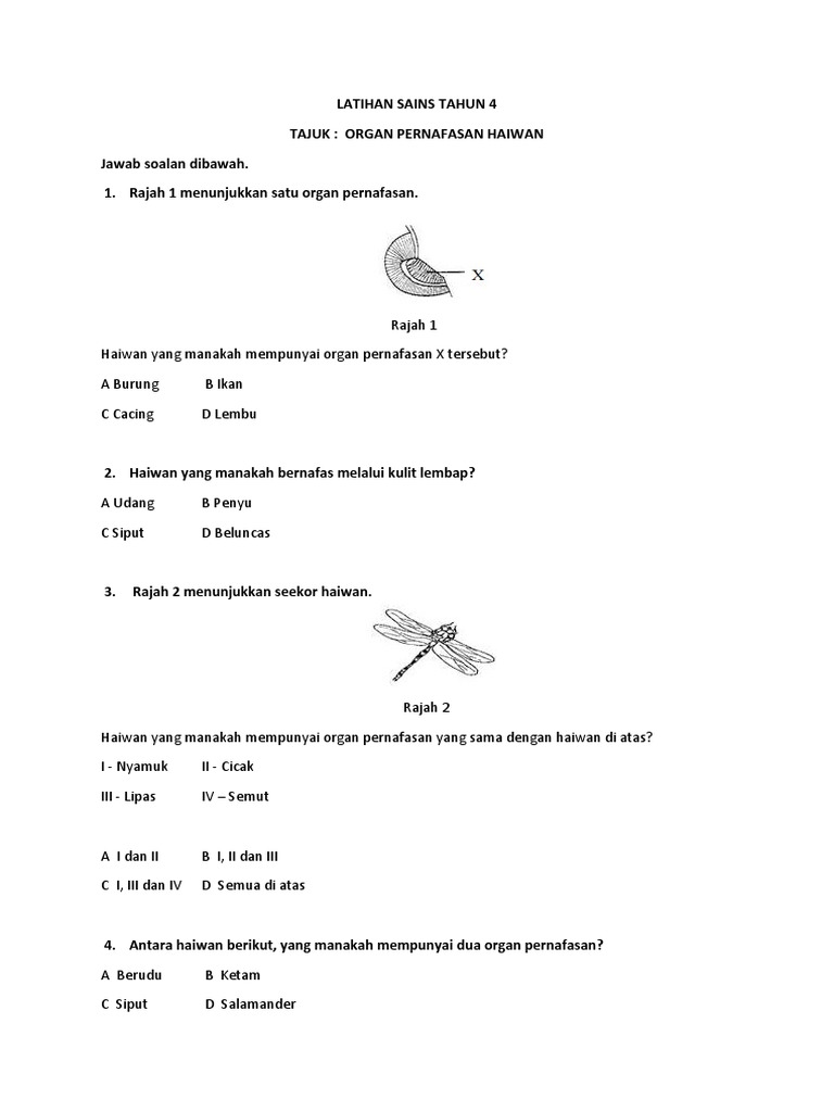 Latihan Sains Tahun 4 Organ Pernafasan Haiwan Pdf