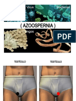 AZOOSPERMIA