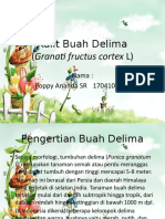 Kulit Buah Delima