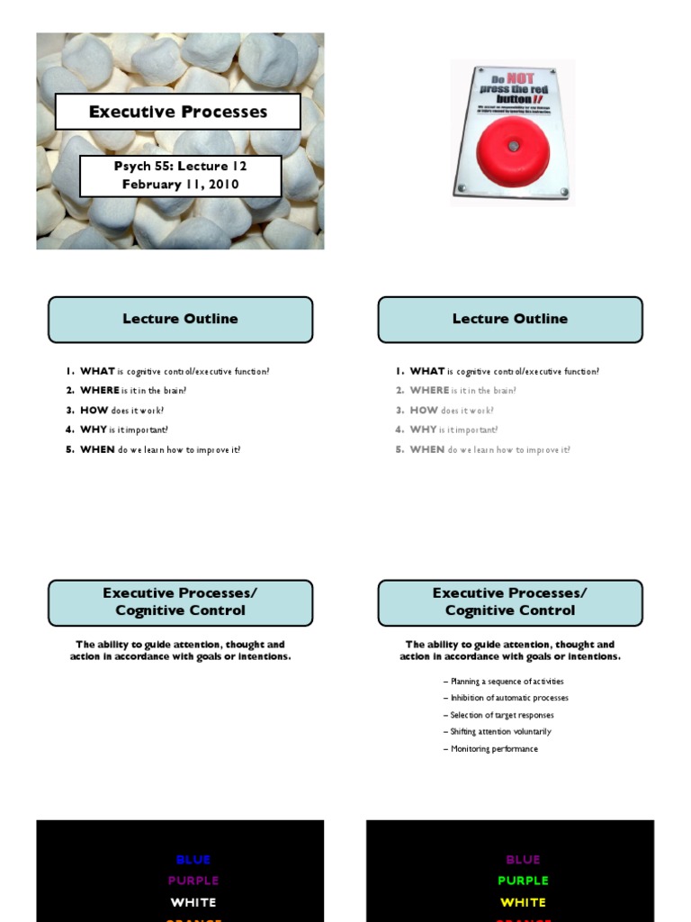 Understanding Executive Functioning | PDF | Executive Functions | Color