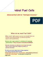 Microbial Fuel Cells