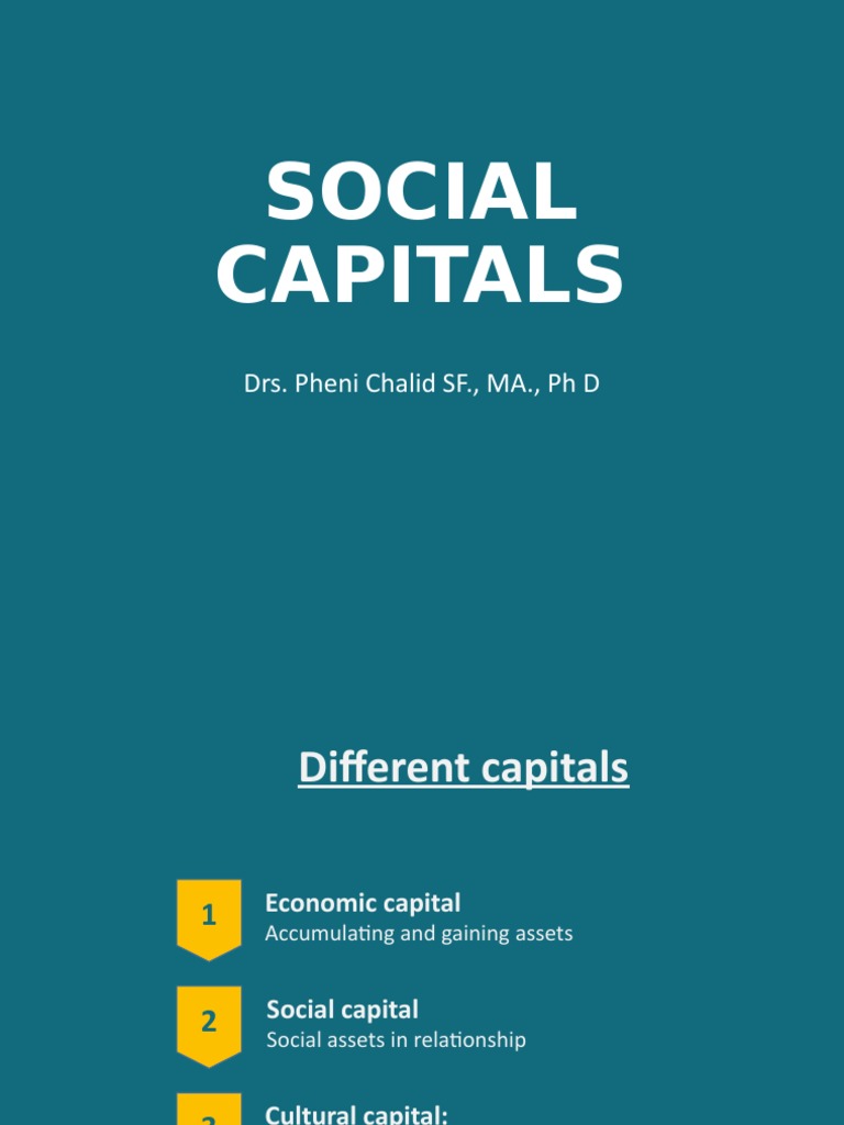 Understanding Social Capitals in Economy | PDF