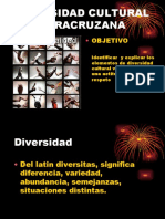 Divers Id Ad Cultural Veracruzana