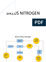 Siklus Nitrogen