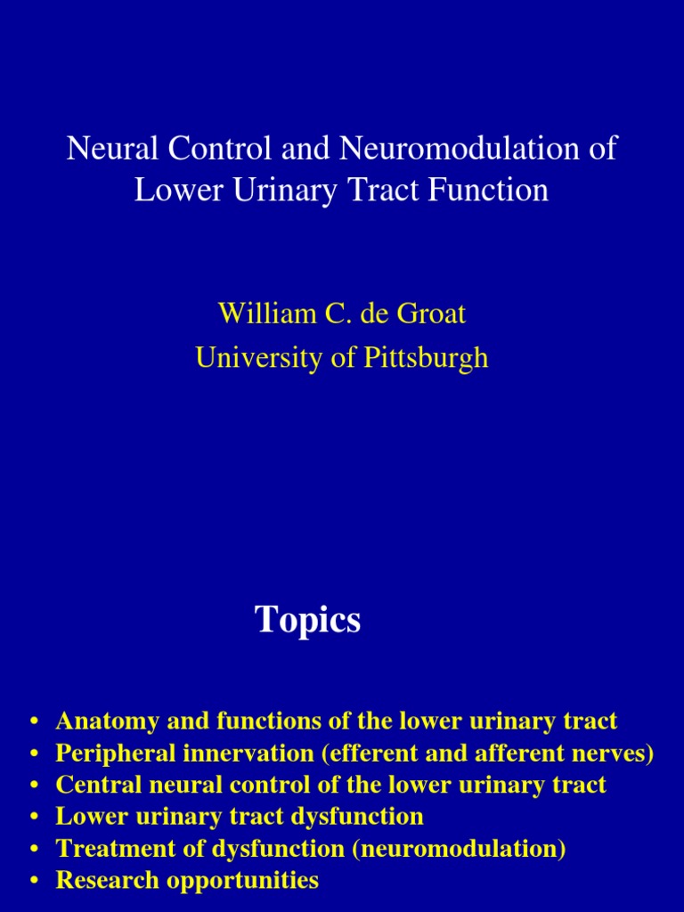 Neural Control of Bladder | PDF | Urination | Urinary System