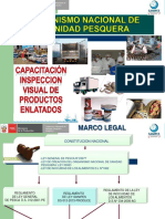 Inspeccion Visual de Cierre-SANIPES QW.pdf