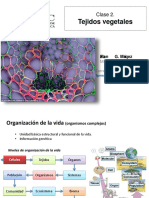 Clase 2 Tej Veg PDF