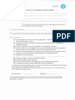 Declratie PDF