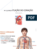 A Constituição Do Coração