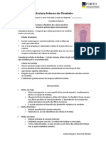 Estrutura Interna Cerebelo_Leonor + Francisco.pdf
