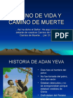 Camino de Vida y Camino de Muerte